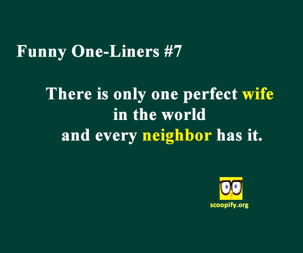 Funny One-Liners #7