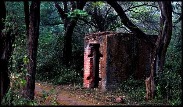 Most Haunted Places In Delhi , Delhi Ridge Area