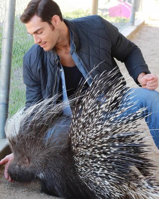 Hot Veterinarian, formr model and personal trainer-Dr. Evan Antin