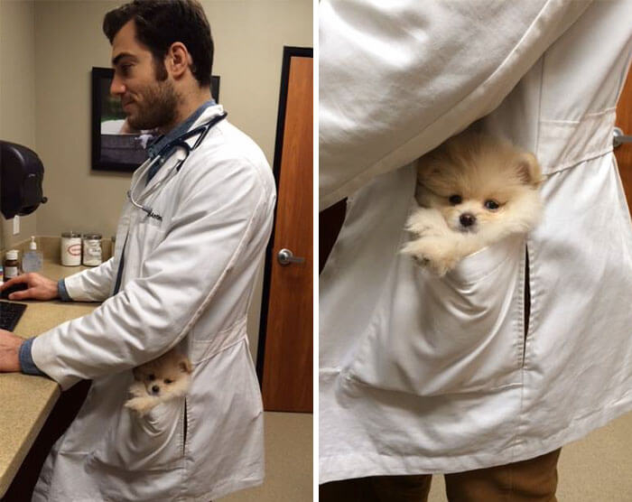 Hot and cute Veterinarian-Dr. Evan Antin