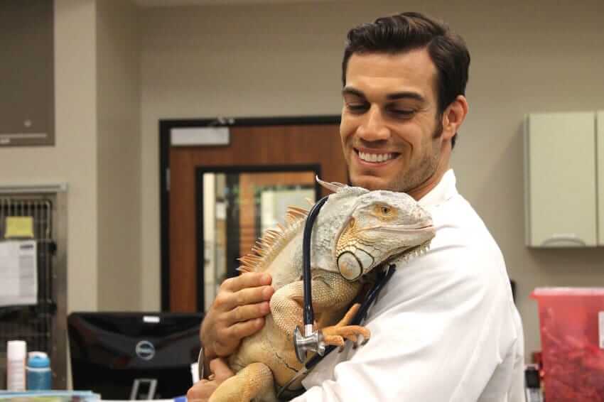 Hot and serious Veterinarian-Dr. Evan Antin