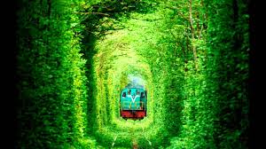 The Most Beautiful Places In The World You Didn't Know Existed-TUNNEL OF LOVE - UKRAINE