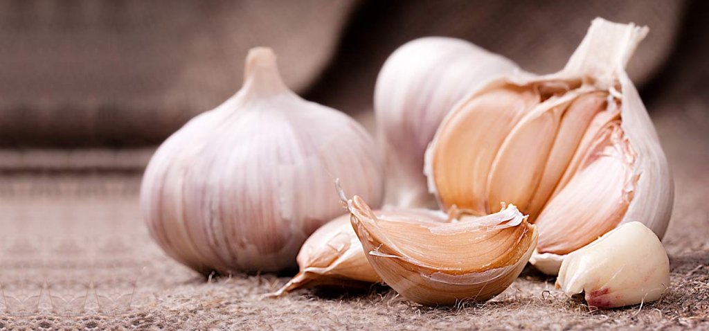 garlic - Slow Down the Aging Process