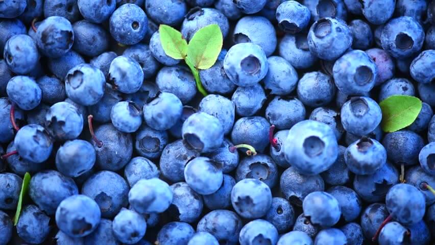 Blueberries for Wrinkles 