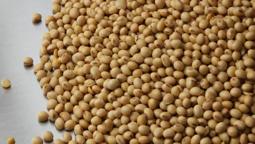 Soy Beans Foods for Wrinkles 