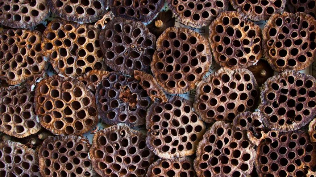 Trypophobia, Phobia of Holes