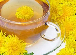 Dandelions tea