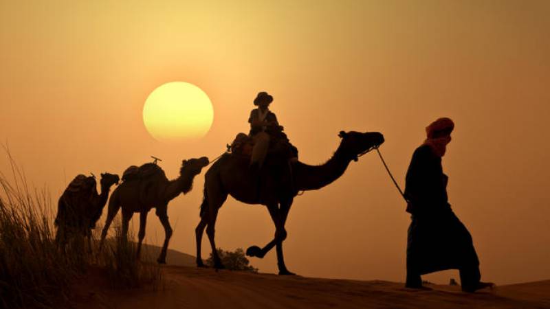 things to do in dubai: camel ride