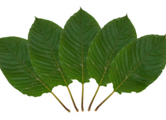 Kratom Strains