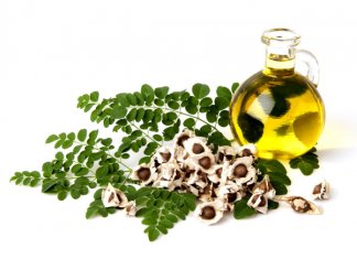 moringa oil