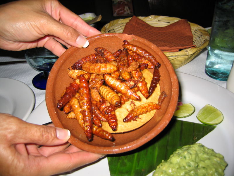 mezcal worms