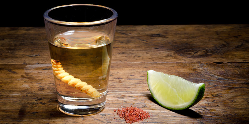 reason behind adding worm in mezcal